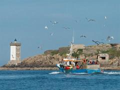 129 ILE DE MOLENE_000025